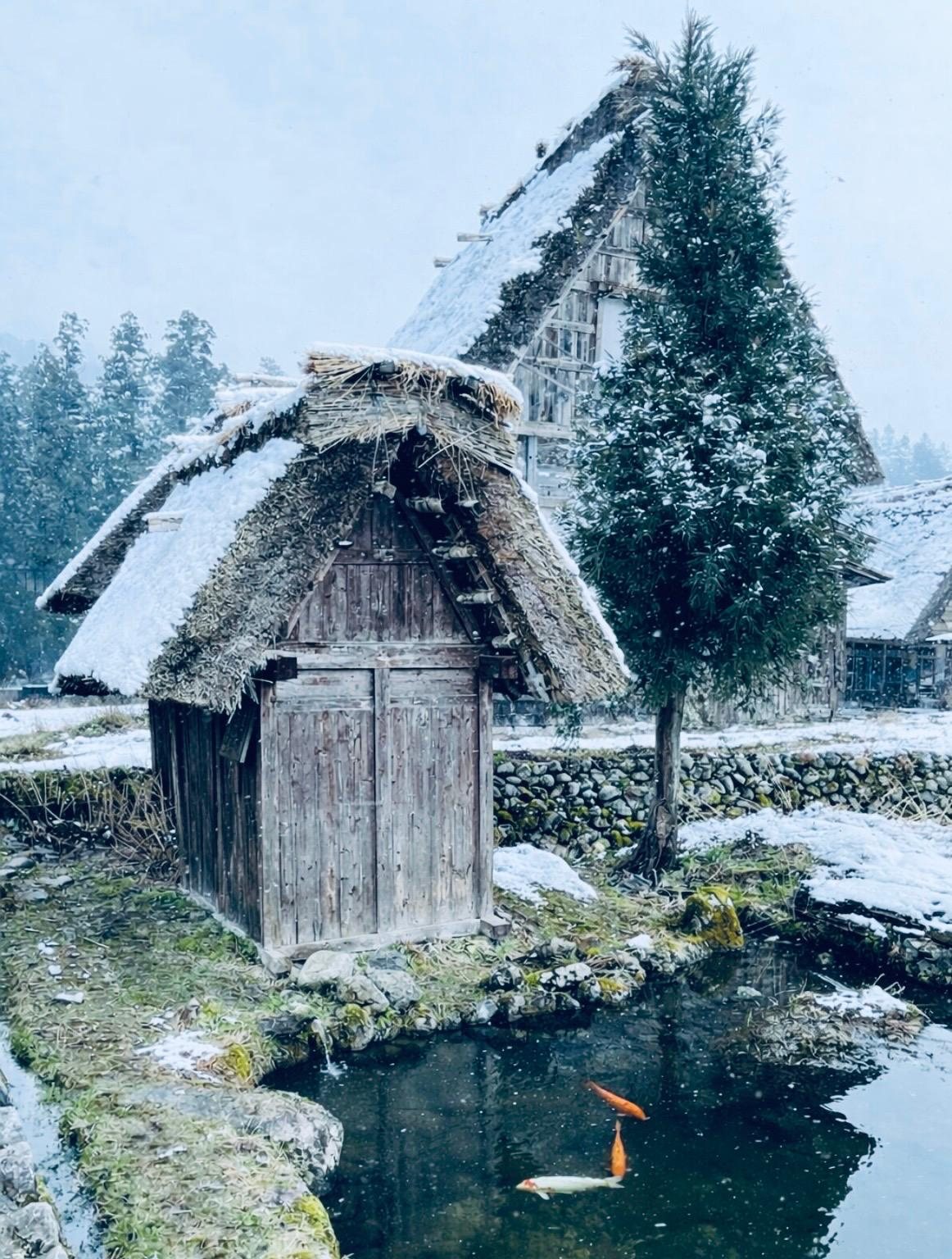 Casa tradizionale con tetto di paglia a Shirakawa-go