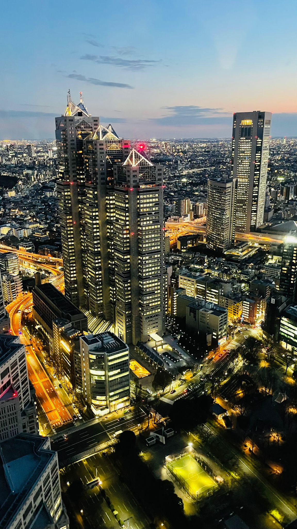 Panorama di Tokyo al tramonto